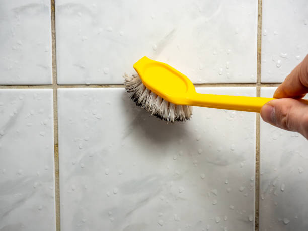 Best Affordable Mold Removal  in Canadian Lakes, MI